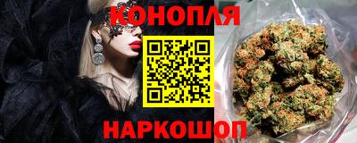 прущие грибы Обнинск