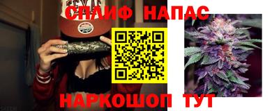 тгк Обь