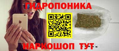 прущие грибы Обнинск