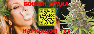 тгк Обь