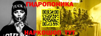 тгк Обь