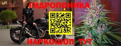 прущие грибы Обнинск