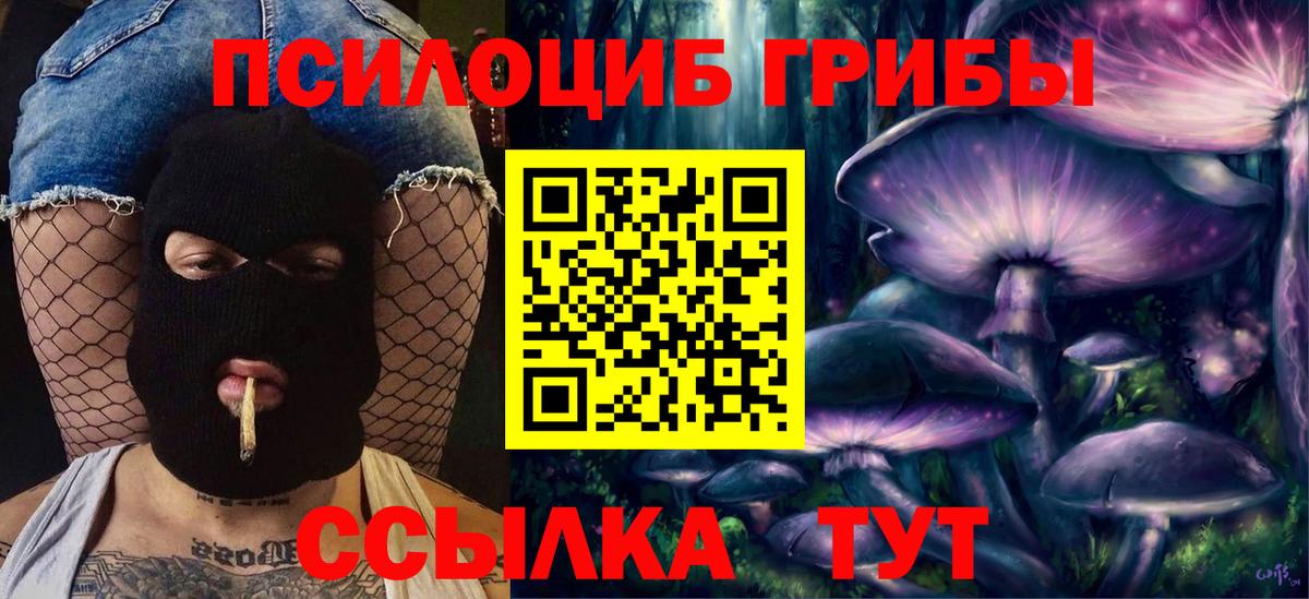 Псилоцибиновые грибы Psilocybine cubensis  Вход с VPN  Тара  Галлюциногенные грибы MAGIC MUSHROOMS 