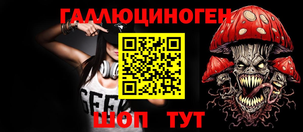 Галлюциногенные грибы Psilocybe Тара